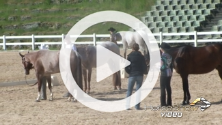 Play video